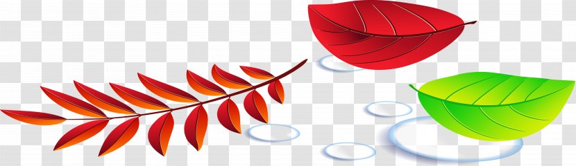 Leaf LiveInternet Diary Clip Art - Christmas - Autumn Leaves Transparent PNG