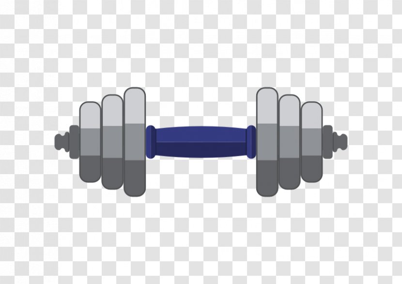 Dumbbell Barbell Euclidean Vector - Hardware Accessory Transparent PNG