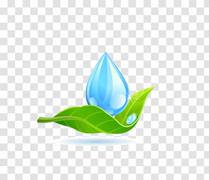 Leaf Water Logo Drop - Designer - Droplets Green Transparent PNG