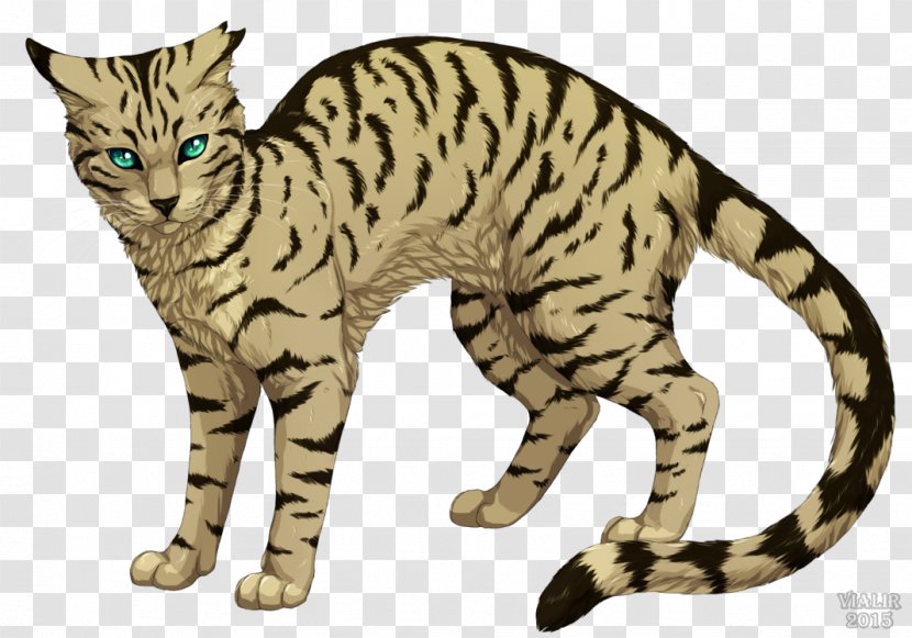 Warriors Cat Into The Wild Longtail Erin Hunter - Wildlife Transparent PNG