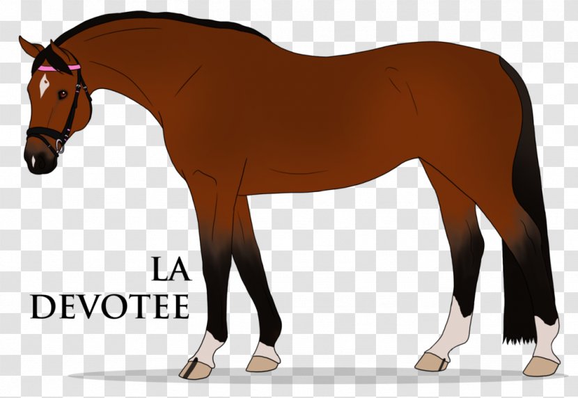 Mane Stallion Foal Pony Mustang - Neck Transparent PNG