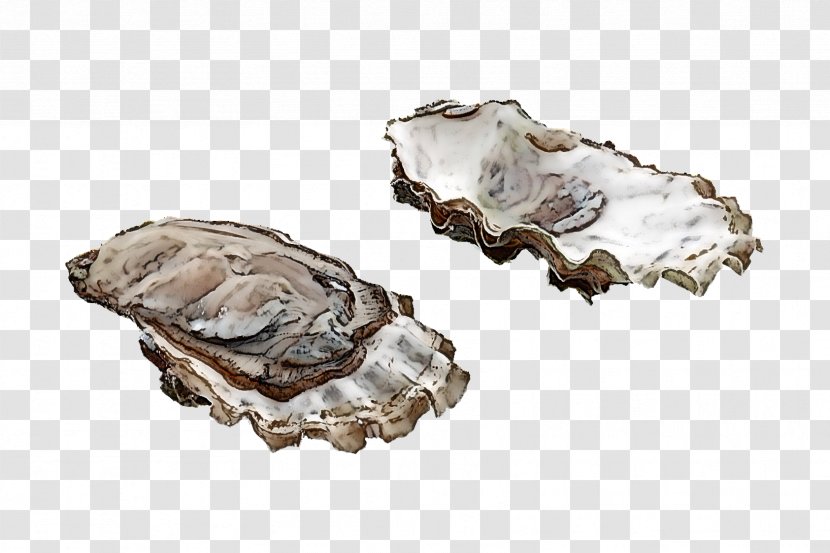 Oyster Rock Bivalve Seafood Beige - Shellfish Transparent PNG