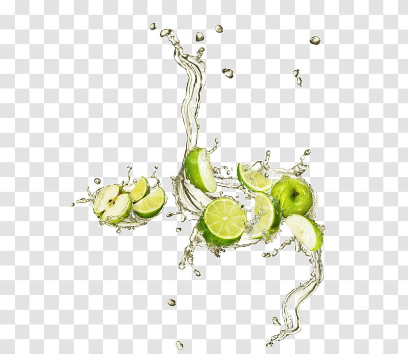Lime Auglis Apple - Creativity - Green Transparent PNG