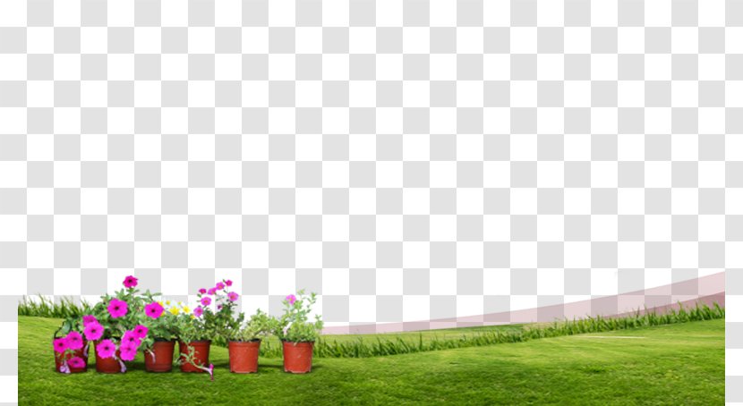 Grass Spring Green Meadow Lawn - Sky Transparent PNG