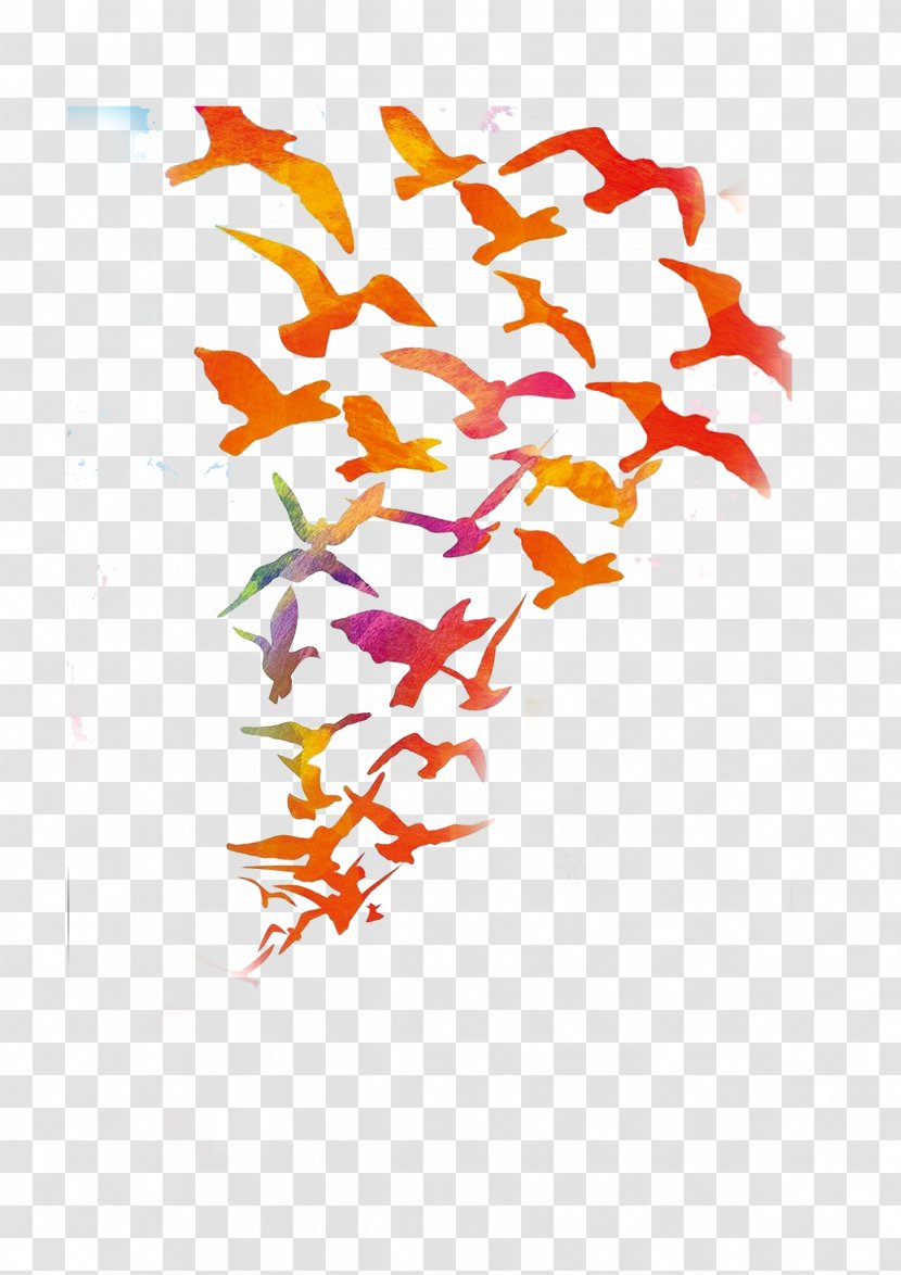 Bird Color Feather - Graduation Ceremony - Group Of Geese Fly South Transparent PNG