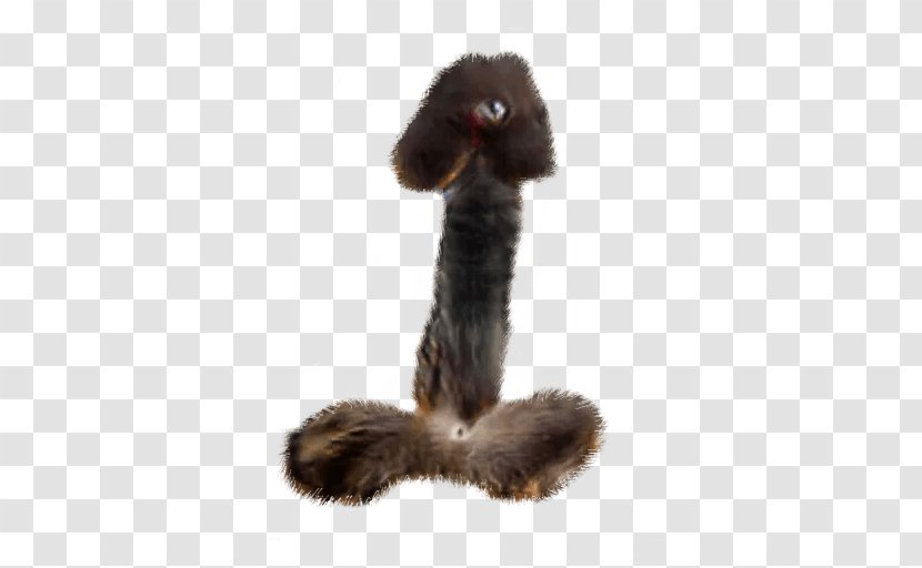 Flightless Bird Ratite Fur - Cartoon Transparent PNG