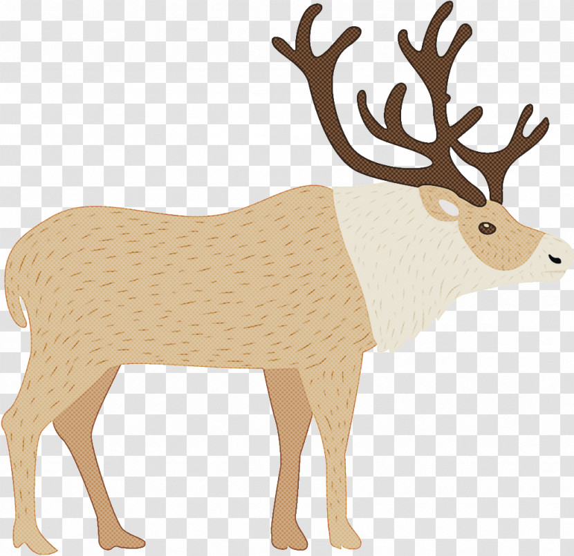 Reindeer Christmas Reindeer Christmas Transparent PNG