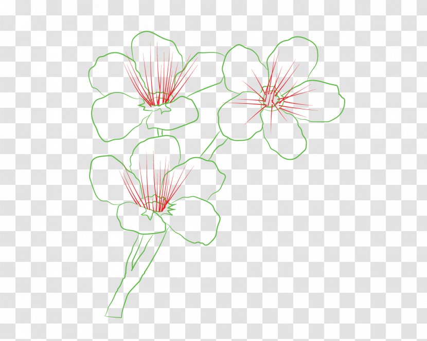 Floral Design Cut Flowers Plant Stem - How To Draw A Queen Transparent PNG