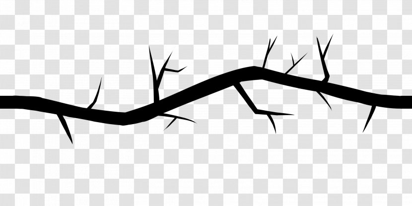 Monochrome Photography Line Art - Watercolor - Branches Transparent PNG