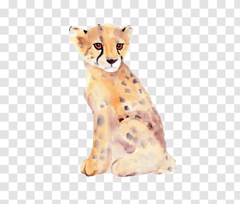 Cheetah Leopard Lion Jaguar Cougar - Cat Transparent PNG