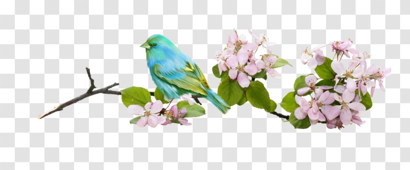 Bird Flower Branch - Little Owl - Birds In The Branches Of Transparent PNG