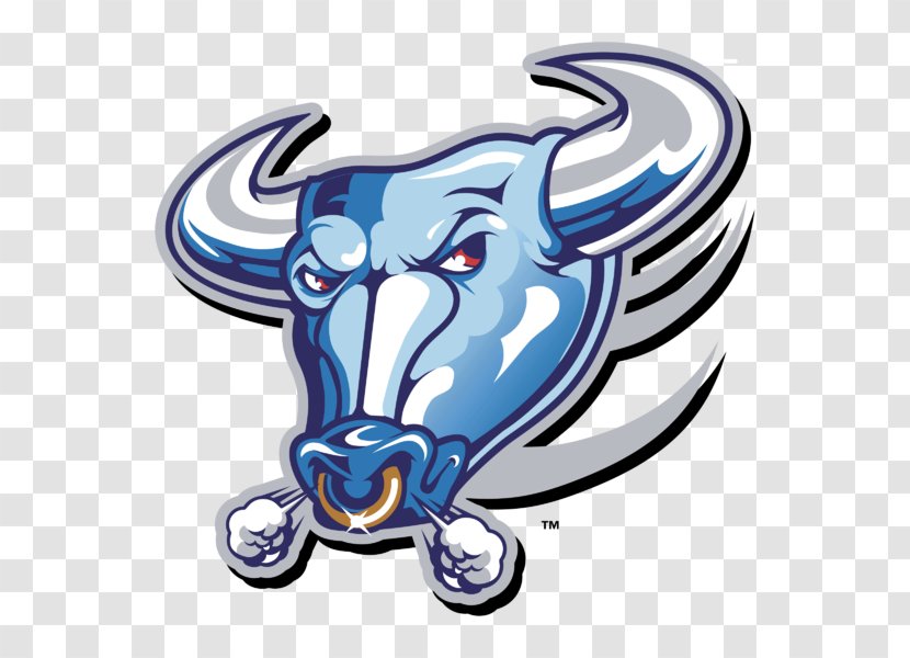 Buffalo Bulls Football Men's Basketball Chicago Bills Clip Art Transparent PNG