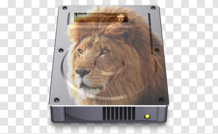 East African Lion Felidae Photography Macintosh - Poster - HD LION Transparent PNG