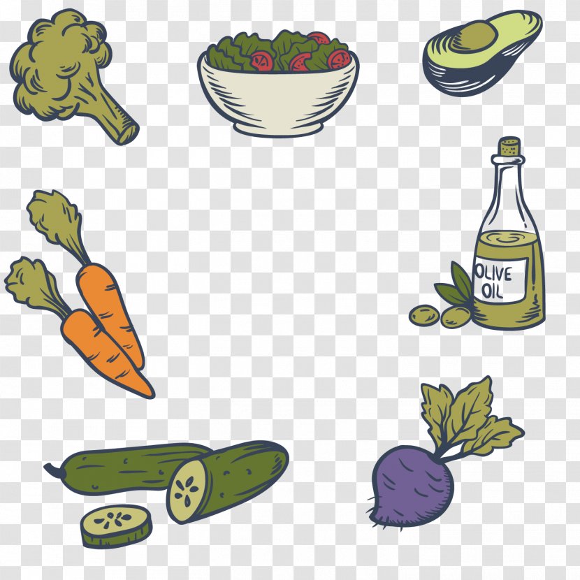 Alimento Saludable Vegetable Food Salad Radish - Fruit - Healthy Vegetables Olive Oil Transparent PNG