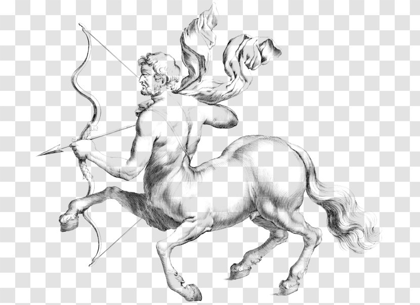 Greek Mythology Centaur Trojan War - Chiron Transparent PNG