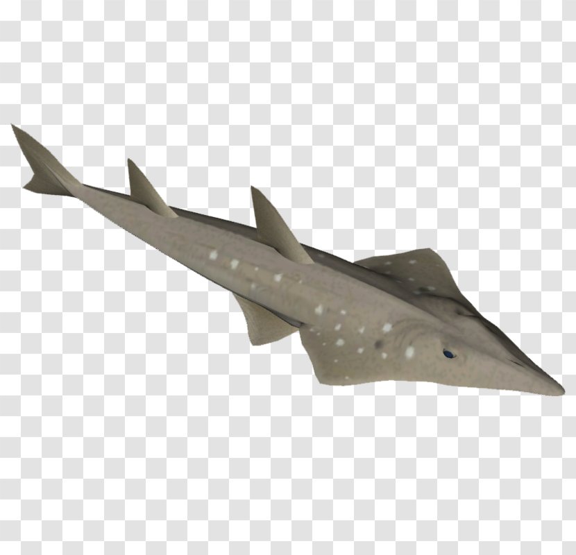 Fighter Aircraft Airplane Jet Military Fish Transparent PNG