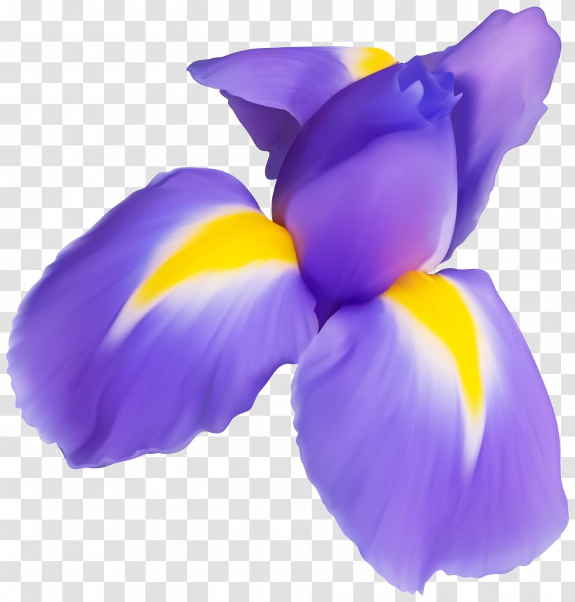 Petal Purple Violet Flower Plant - Flowering - Crocus Transparent PNG