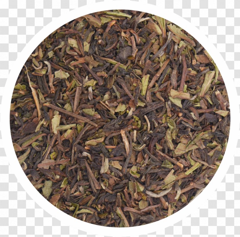 Zabulistan Kabulistan Greater Khorasan Bactria - Tea Leaves Transparent PNG