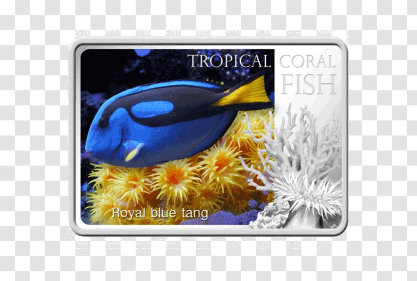 Yellow Tang Animal Zebrasoma - BAKE FISH Transparent PNG