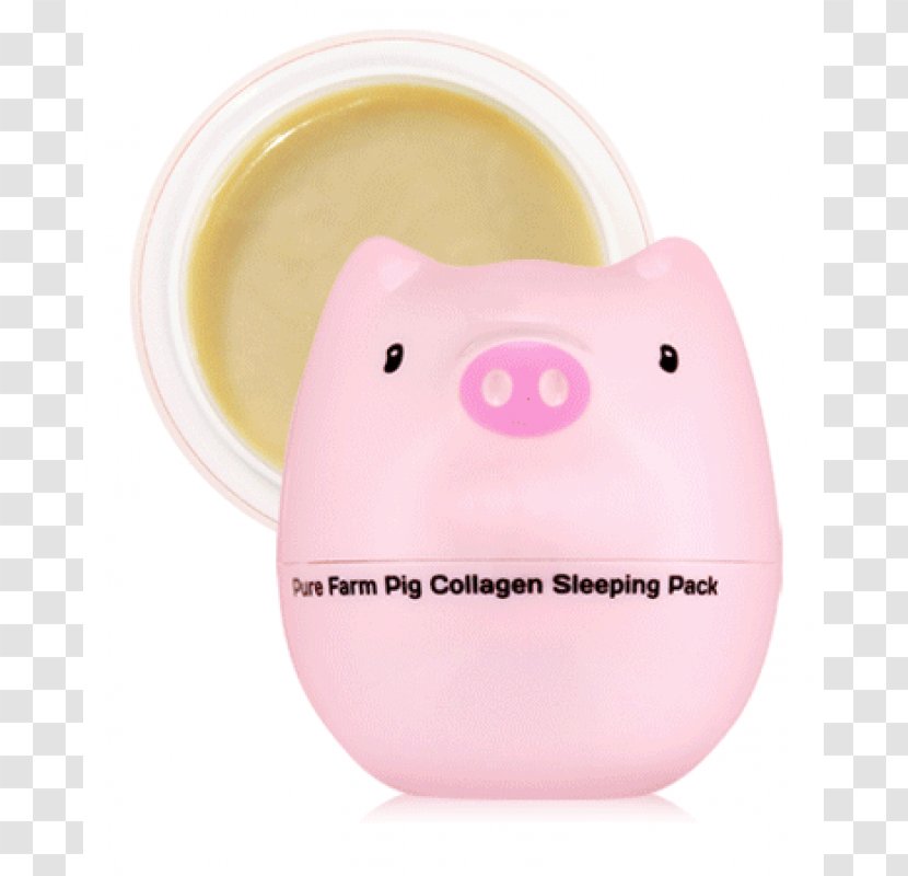 Snout Pig Collagen Transparent PNG