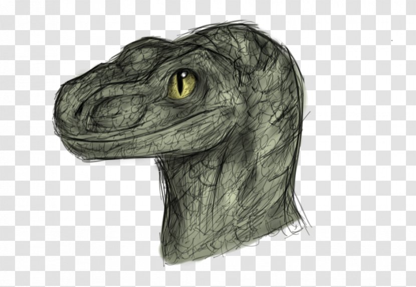 Velociraptor Mosasaurus Dinosaur Drawing Jurassic Park Transparent PNG