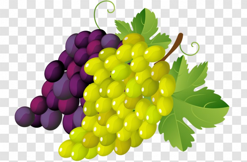 Fruit Clip Art - Grape Leaves - Guava Transparent PNG