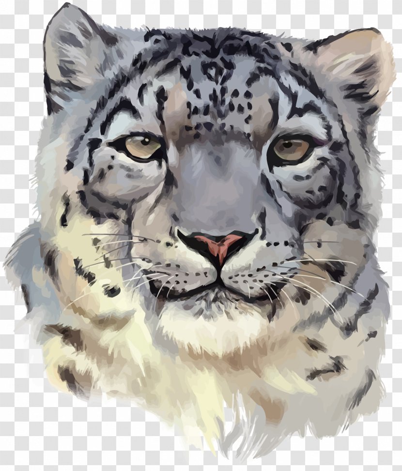 Vector Clouded Leopard - Fur - Mammal Transparent PNG