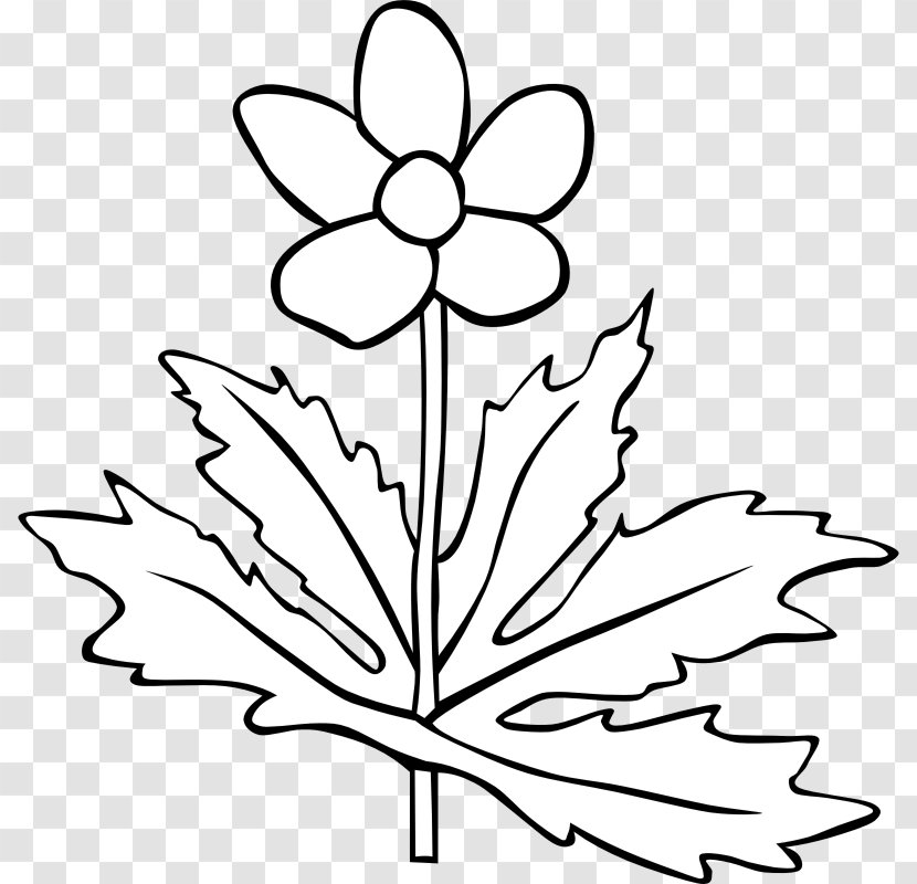 Plant White Flower Clip Art - Black And Transparent PNG