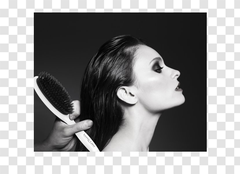 Beauty Cosmetologist Hairstyle Capelli Eyelash - Microphone - On Boarding Transparent PNG