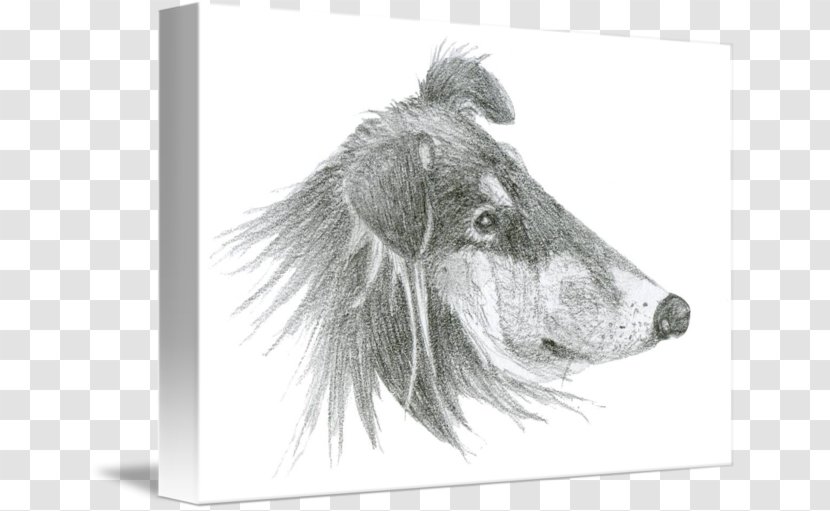 Dog Breed Snout White Transparent PNG