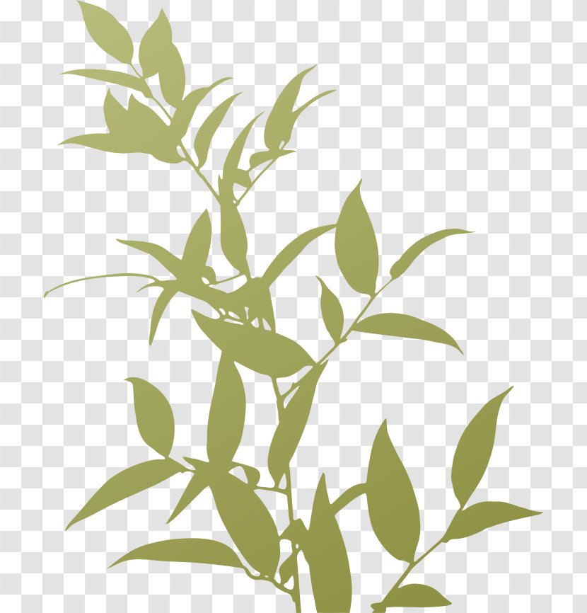 Plants Trivia Silhouette - Android - Plant Transparent PNG