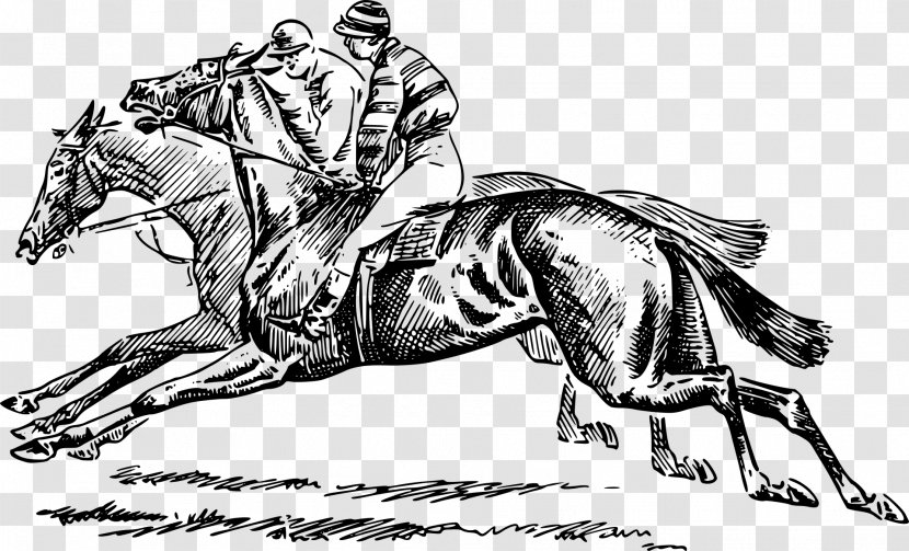 Horse Racing The Kentucky Derby Jockey - Livestock - Race Transparent PNG