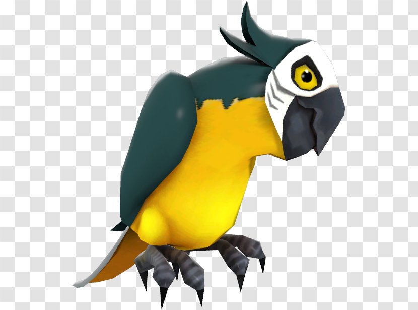 Macaw Beak Fauna Toucan Cartoon - Wing Transparent PNG