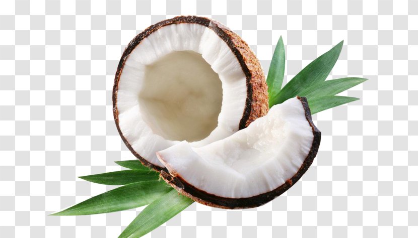 Coconut - Plant - Food Transparent PNG