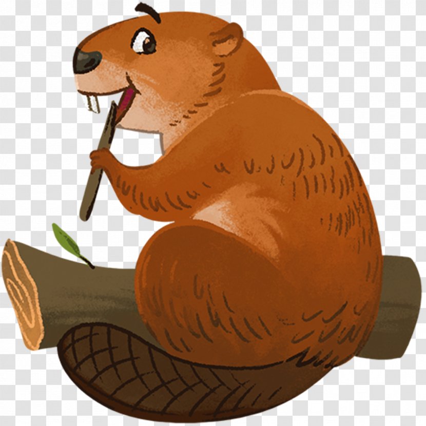 Rodent American Beaver Bear United States - Vertebrate Transparent PNG