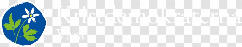 Logo Desktop Wallpaper Surfboard Close-up Font - Closeup - Vara Transparent PNG
