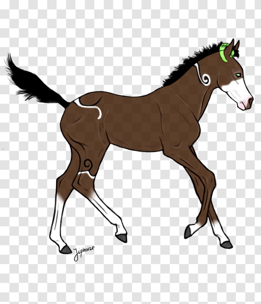 Foal Mane Stallion Pony Rein - Mustang Transparent PNG