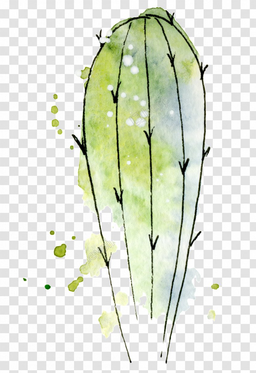 Cactus Watercolor Painting Drawing Stock Photography Image - Leaf - Hand Painted Characters Transparent PNG