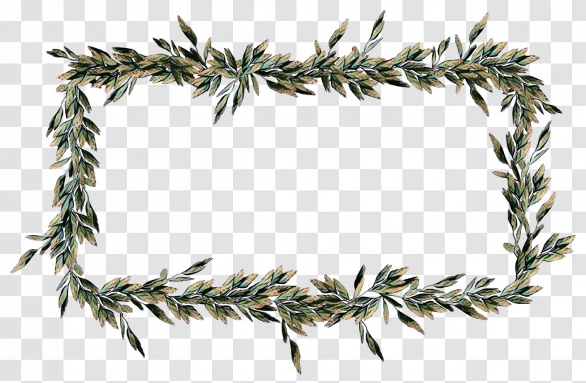 White Pine Oregon Colorado Spruce Plant Tree - Conifer - American Larch Transparent PNG