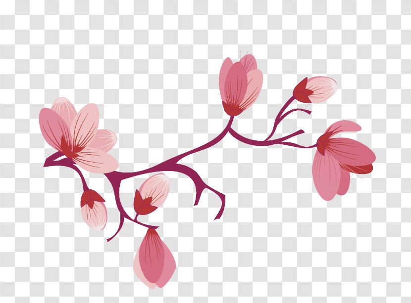 Flower Pink Petal Plant Branch - Blossom - Stem Transparent PNG