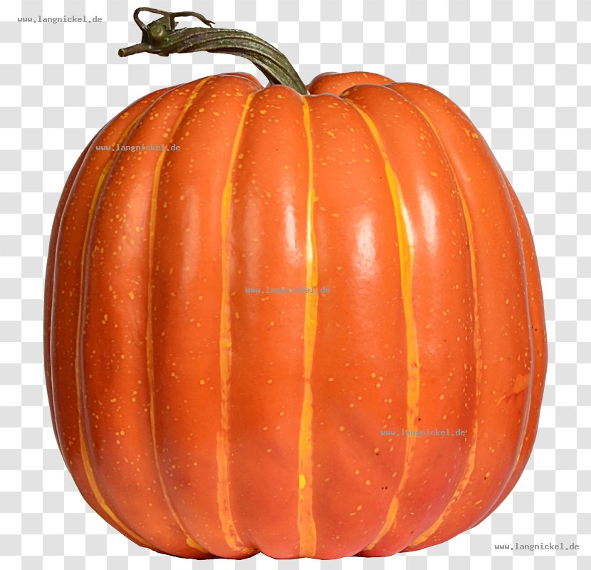 Pumpkin Calabaza Winter Squash Gourd Cucurbita Maxima - Cucumber And Melon Family Transparent PNG