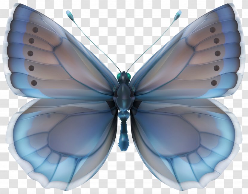 Butterfly Blue Clip Art - Product Design - Image Transparent PNG