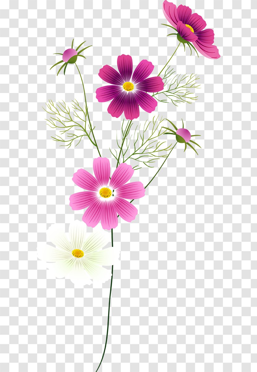 Flower Floral Design Garden Wedding Spring Transparent PNG