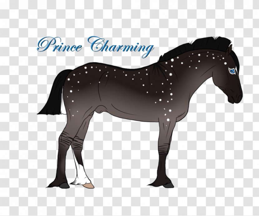 Stallion Mustang Foal Colt Mare - Rein Transparent PNG