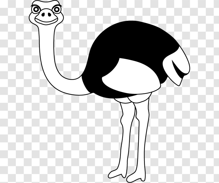 Common Ostrich Royalty-free Clip Art - Neck - Cliparts Transparent PNG