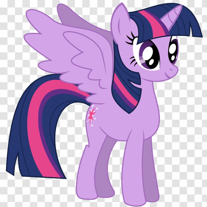 Twilight Sparkle Pony Rainbow Dash Pinkie Pie Applejack - Vertebrate - Little Transparent PNG