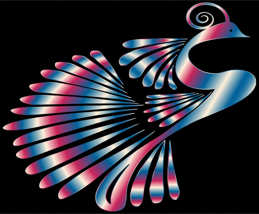 Vertebrate Graphic Design Desktop Wallpaper - Spiral - Peacock Transparent PNG