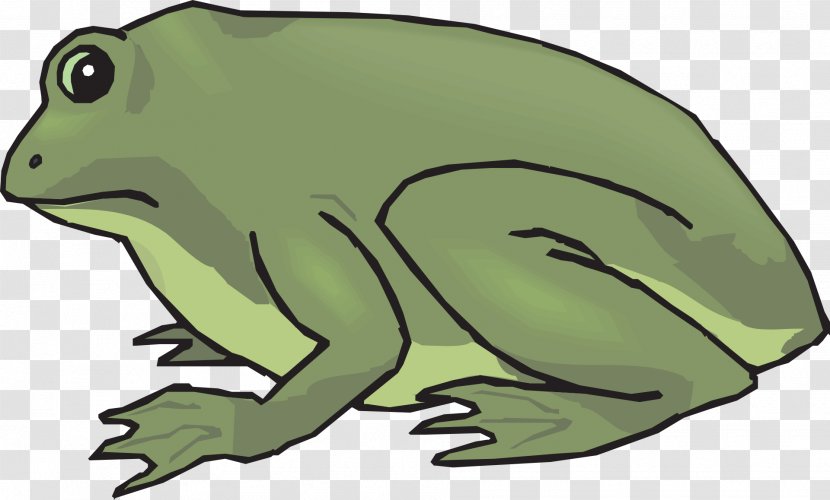 True Frog Amphibian Toad Clip Art - Reptile Transparent PNG