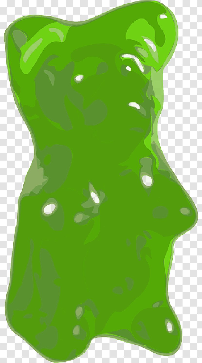 Gummy Bear Candy Chewing Gum Jelly Babies Transparent PNG