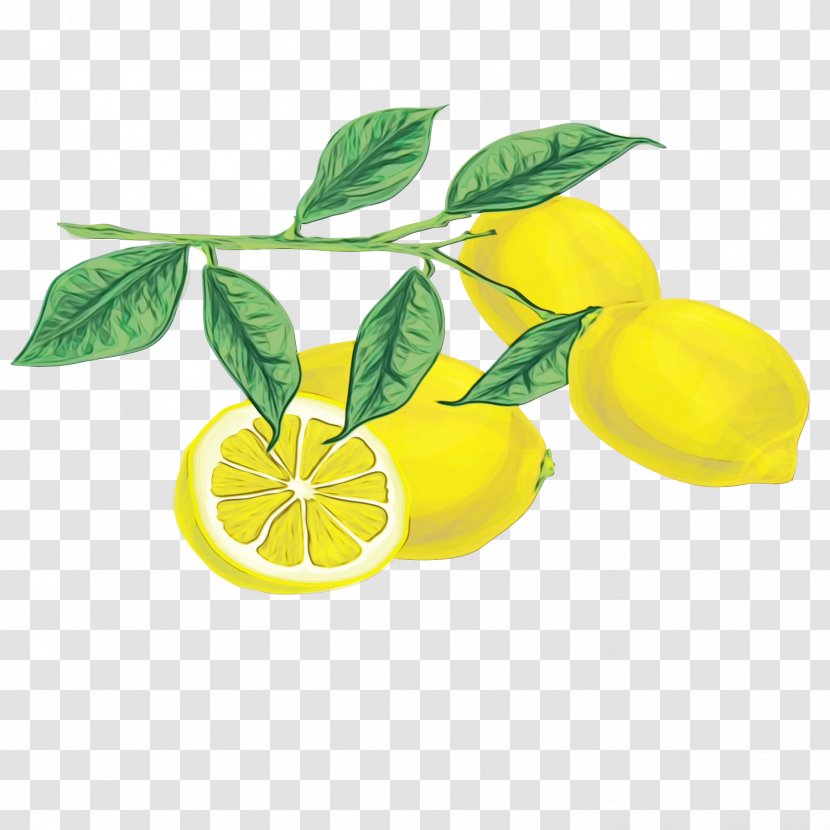 Lemon Flower - Citric Acid - Key Lime Transparent PNG